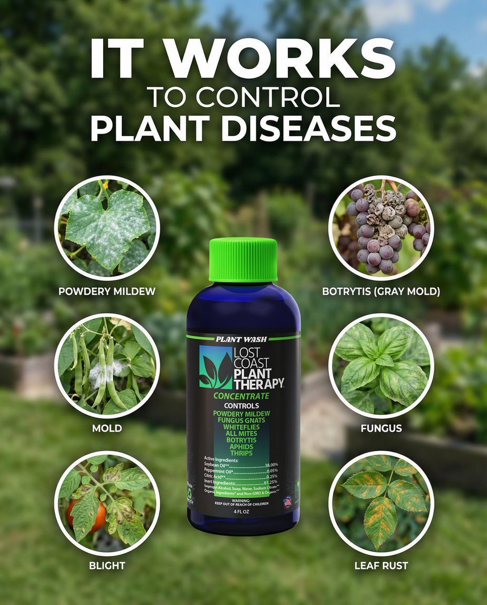 Plant diseases develop when surface conditions stay favorable long enough for spores to establish and spread. 🍃

High humidity, limited airflow, and persistent moisture on leaf surfaces create the ideal environment for issues like powdery mildew, botrytis, leaf rust, and other