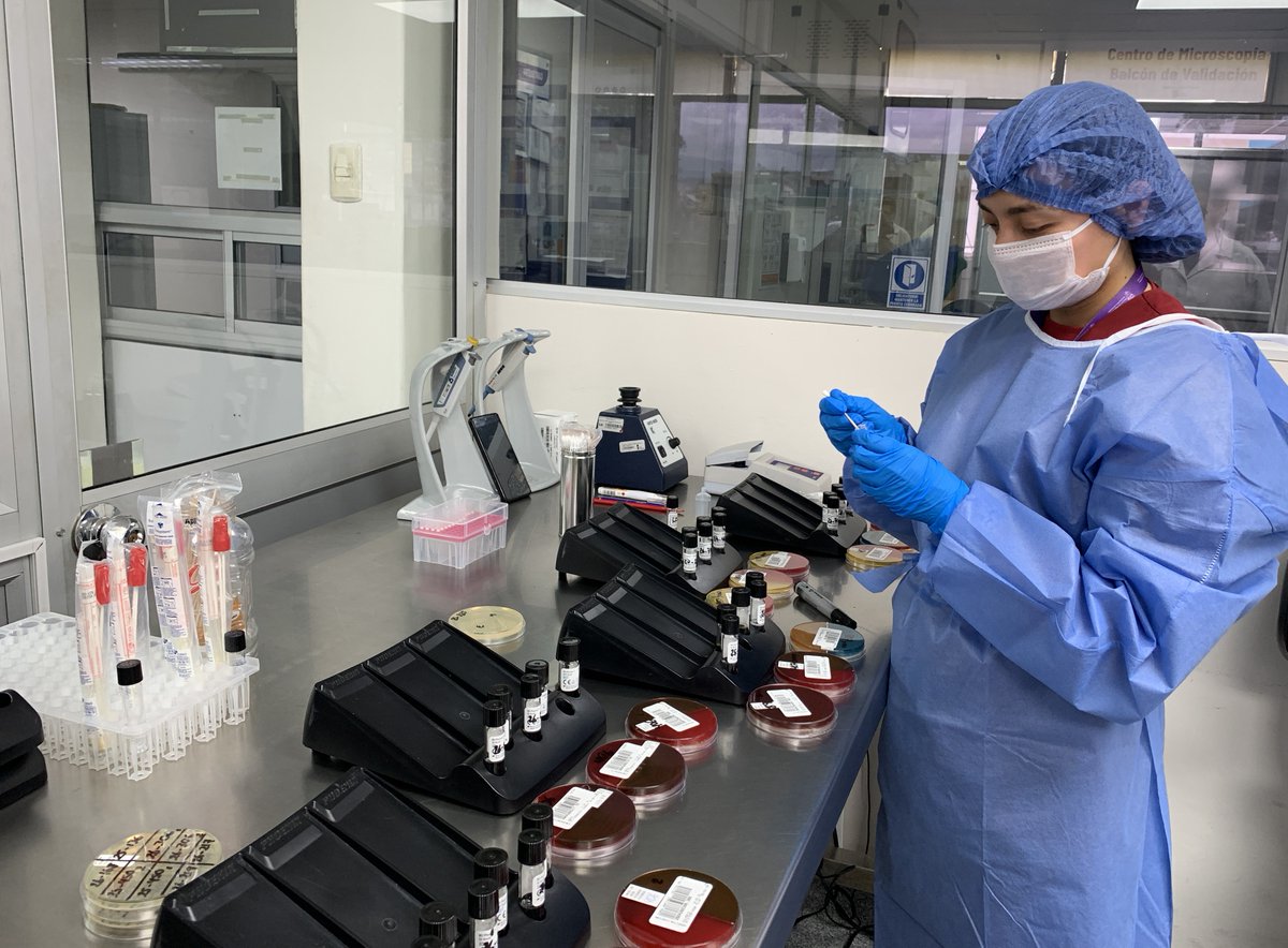 HVCMOficial's tweet photo. Hoy reconocemos y agradecemos la dedicación de los laboratoristas del @HVCMOficial, cuyo trabajo preciso, responsable y silencioso es fundamental para el diagnóstico oportuno y la atención de calidad a nuestros pacientes. 🔬💙
¡Feliz Día del Laboratorista! https://t.co/g64FpmBvjg