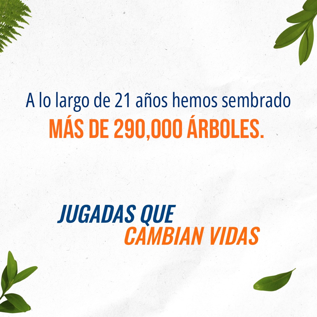 GNPSeguros's tweet photo. En el marco del día internacional de la tierra, reflexionamos sobre la importancia de cuidar y tomar acción para proteger el planeta. Con nuestro programa social Gol por México reforestamos bosques en diferentes partes del país.
Jugadas que cambian vidas  GNP por el Ambiente.