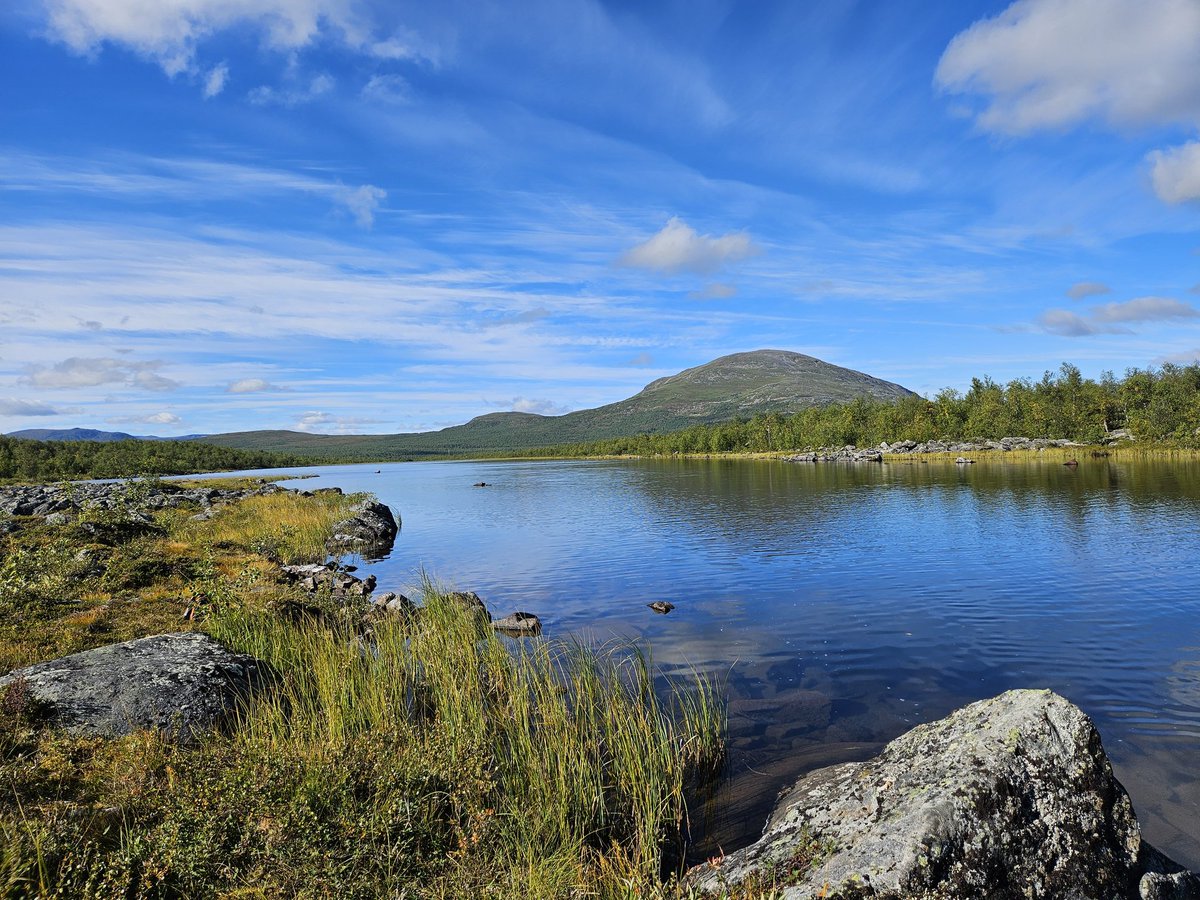 i miss being here, even though it was sweden