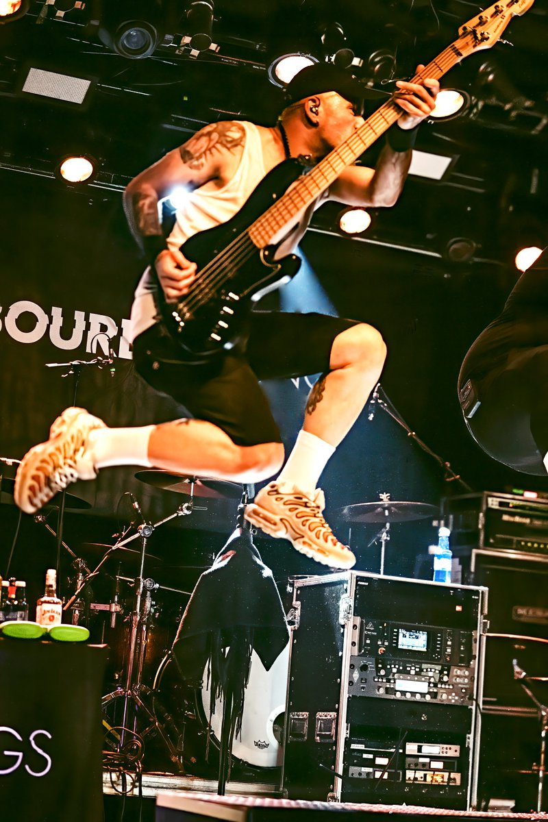 The Sound Of The Embryo tweet media