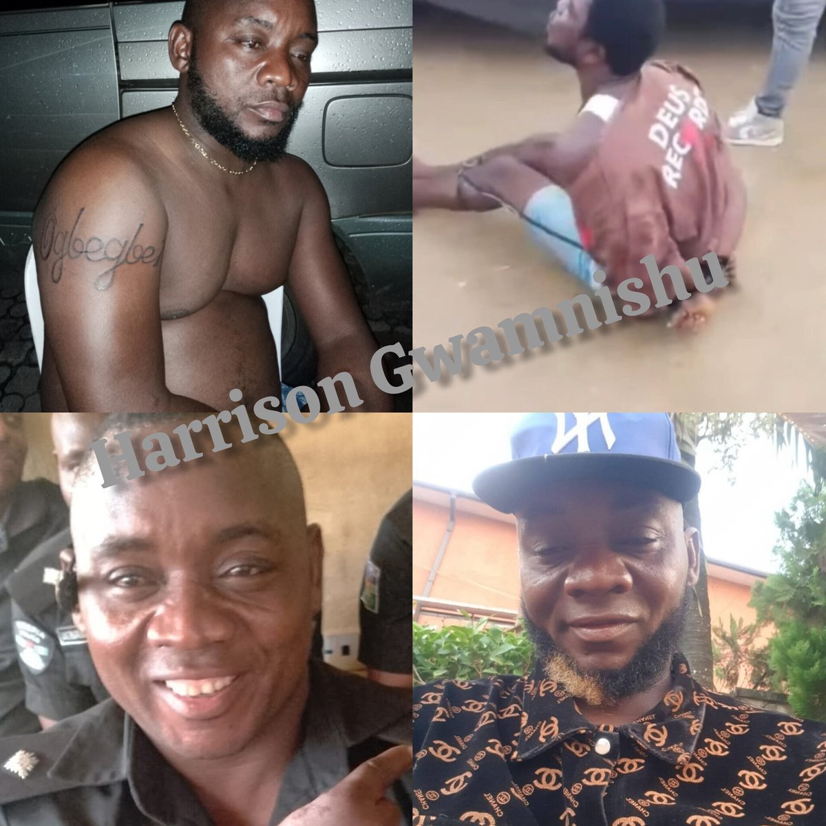 Harrison Gwamnishu tweet media