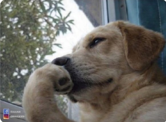 Chidubem tweet media