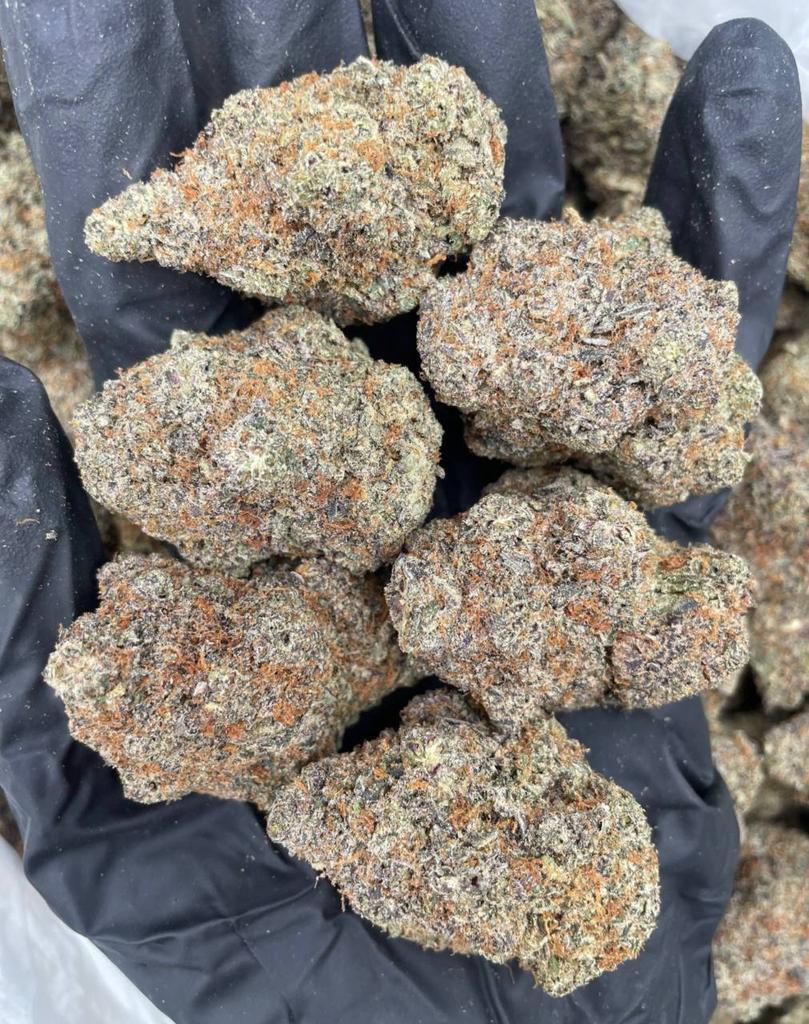 jaylen89123's tweet image. Pick one  strain 🍃🍃🍃

🔗👇
linktr.ee/owens4

Kentuckyplug Pensacola plug #Guns freaks Atlanta Hawkinsville  Huntsville plug Birmingham Montgomery freaks meetup  Jackson Mississippi Jonesboro plug #ukplug #Gunlovers