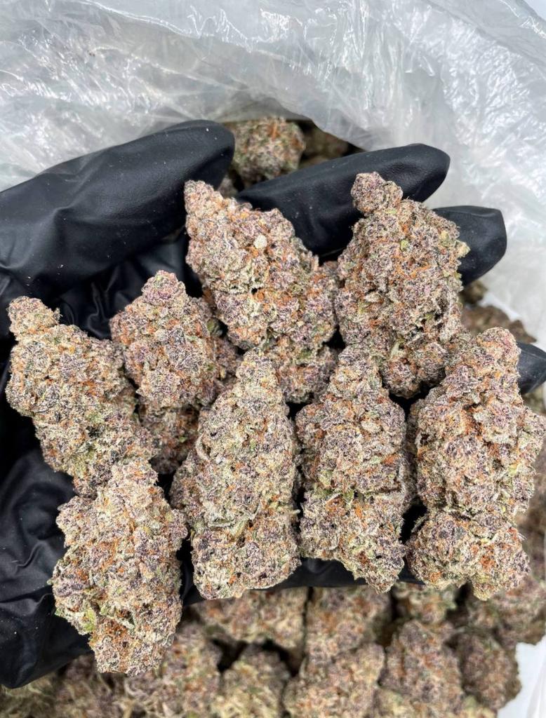 jaylen89123's tweet image. Pick one  strain 🍃🍃🍃

🔗👇
linktr.ee/owens4

Kentuckyplug Pensacola plug #Guns freaks Atlanta Hawkinsville  Huntsville plug Birmingham Montgomery freaks meetup  Jackson Mississippi Jonesboro plug #ukplug #Gunlovers