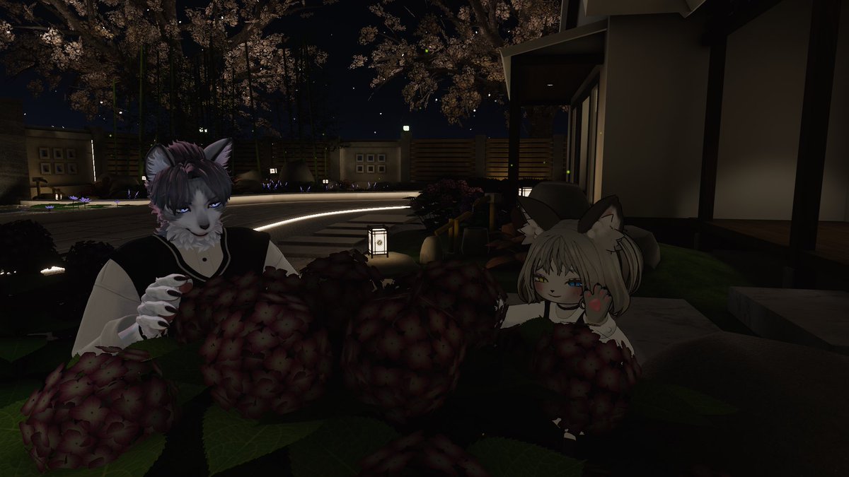 ねこと tweet media
