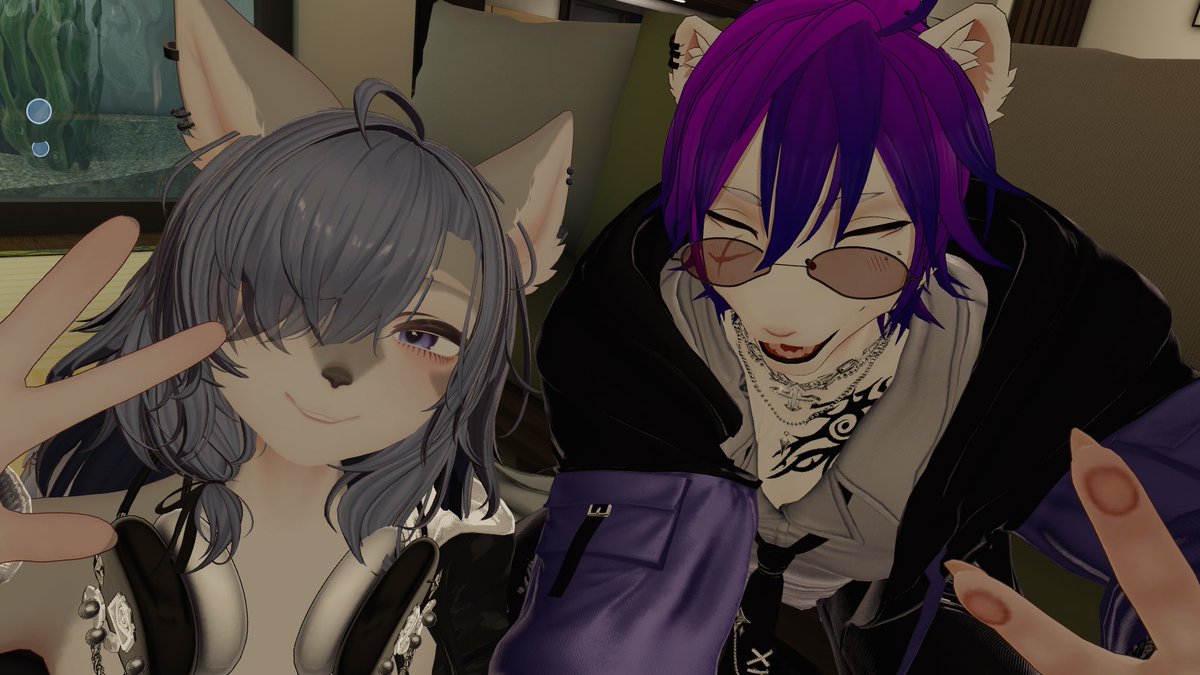 ねこと tweet media