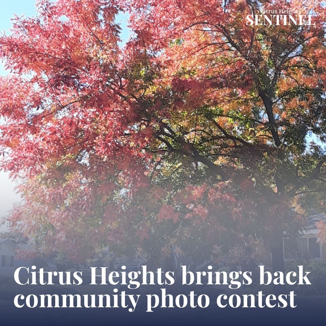 Citrus Heights Sentinel tweet media