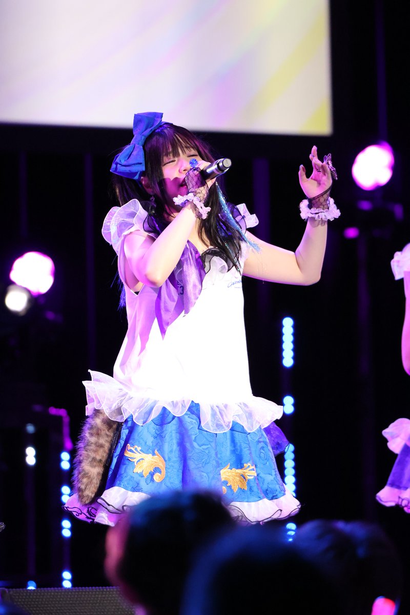 まかろん（なうやしの家の猫） tweet media