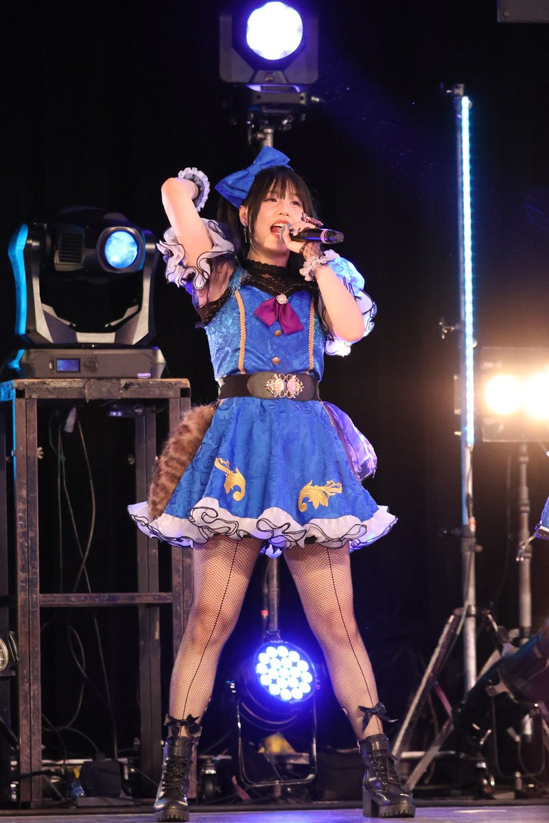 まかろん（なうやしの家の猫） tweet media