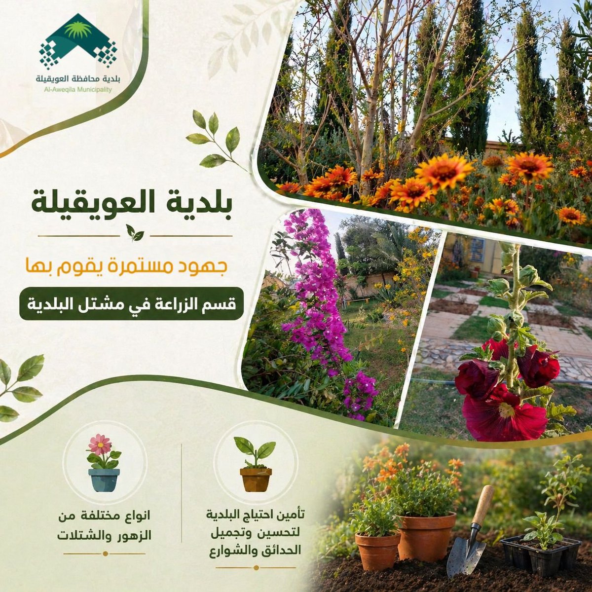 #بلدية_محافظة_العويقيلة
#أمانة_منطقة_الحدود_الشمالية