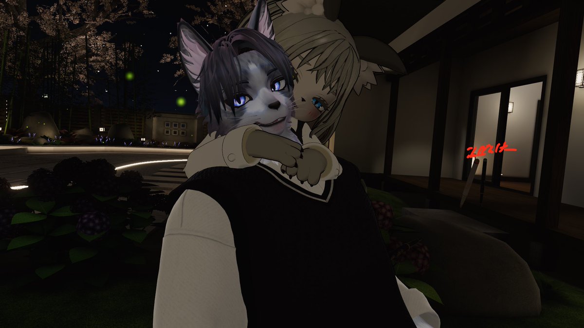 ねこと tweet media
