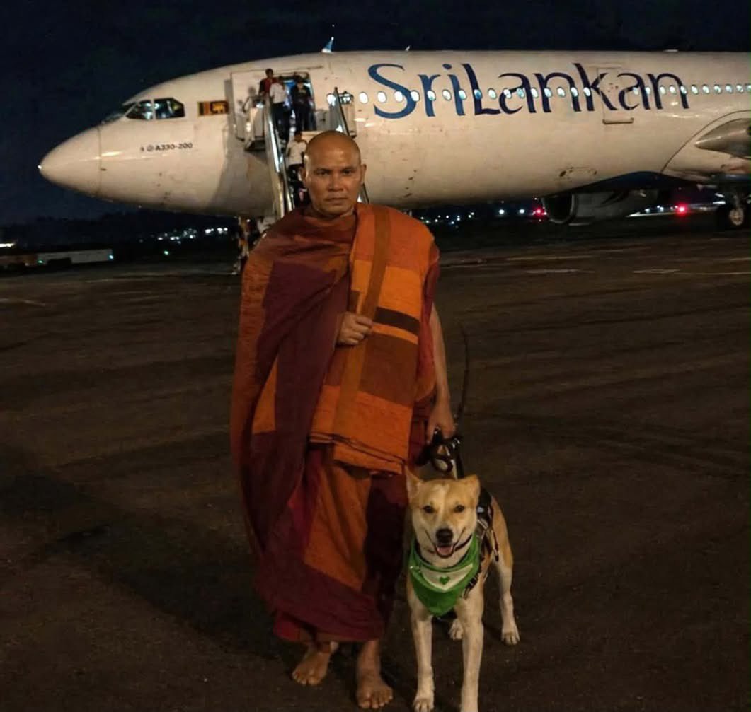 ඉරූ(Iru )🇱🇰イル tweet media