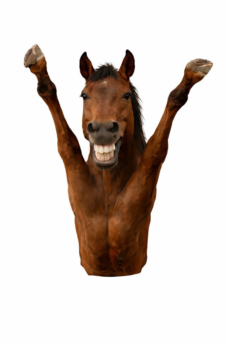 레정자 (진짜임) tweet media