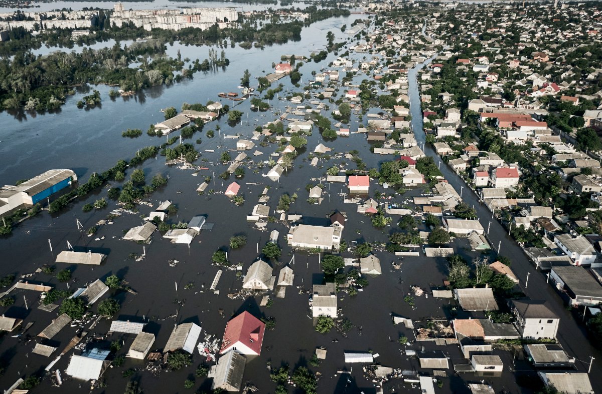 Kostya K tweet media