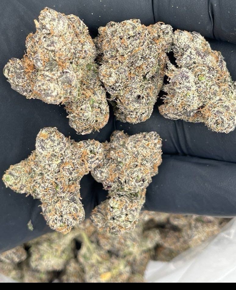 jaylen89123's tweet image. So gassy 🔥🔥🔥

🔗👇
linktr.ee/owens4

#floridanews Tampa  Orlando  Tallahassee  Savanah  New Orleans  Raleigh  Lafayette  Fayetteville  Charlotte  #manhattanplug #Glocks #Shortguns