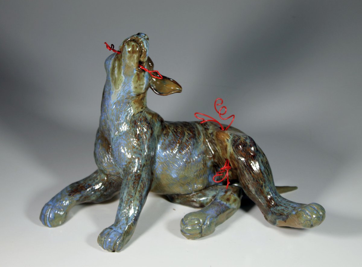 Luke 🐾 tweet media