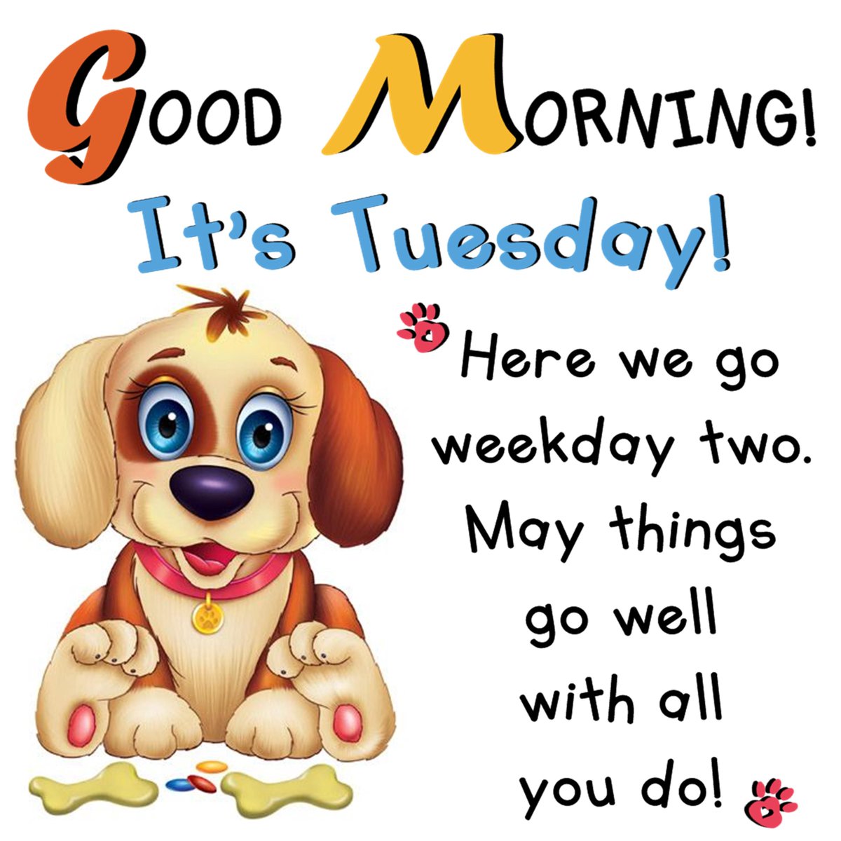 StrathconaHosp1's tweet photo. Good morning and happy Tuesday! 🐾

We’re rolling into the second day of the week with a little extra optimism (and maybe a little extra treat or two). Whether today is busy, steady, or somewhere in between, we hope it brings a few bright moments your way.

At Strathcona Community Hospital Foundation, every day is an opportunity to make a difference for patients, families, and staff in our community. If you’re looking for a simple way to add a little extra good to your day, please consider making a donation.

Your support helps fund vital equipment and enhances care close to home. 💙

Donate here: https://t.co/usJBbnKKCI

Wishing you a tail-wagging kind of Tuesday! 🐶