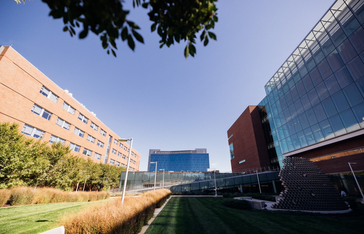 KUMedCenter's tweet photo. Today is #OneDayOneKU, our annual giving day. Your gift today can bring us closer to the next big idea in health care. You can direct your donation toward advances in research, scholarships and support for students and much more: https://t.co/UYzkrZNJe6 https://t.co/t7sVVVKZME
