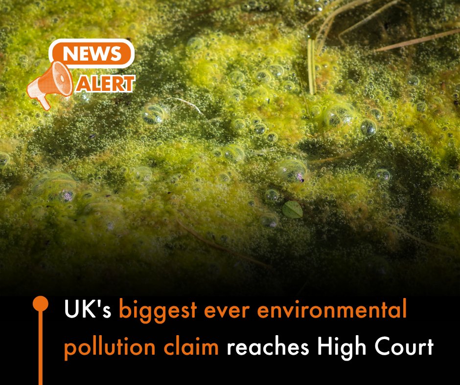 World Animal Protection UK tweet media