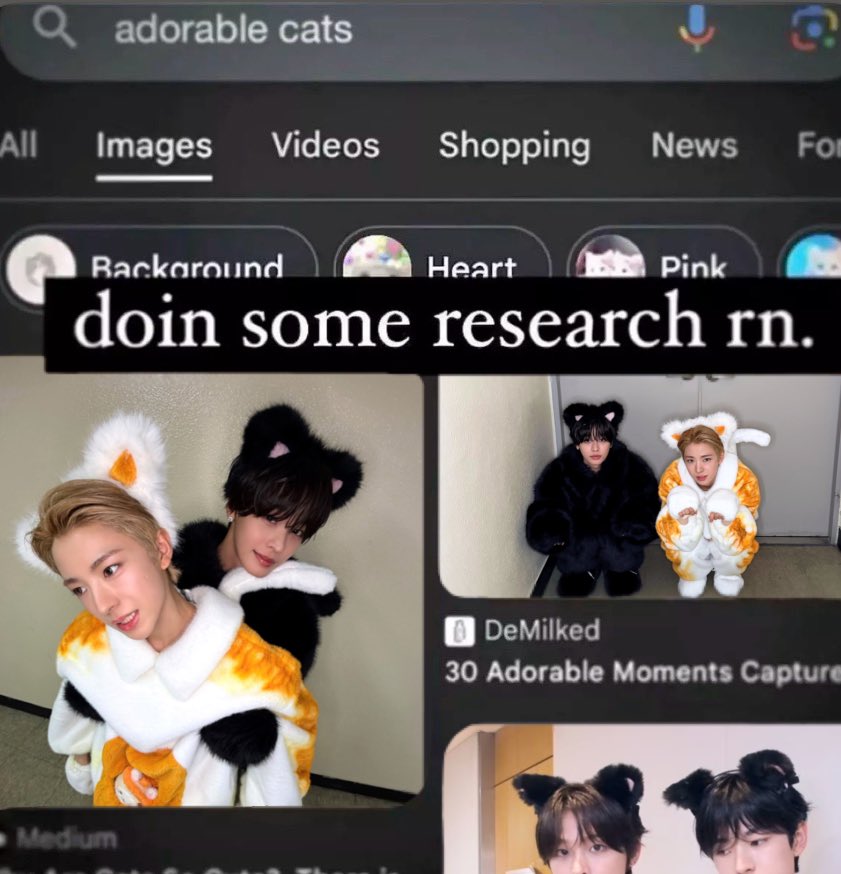 fio ꒰ᐢ. .ᐢ꒱₊˚⊹ ᰔ tweet media