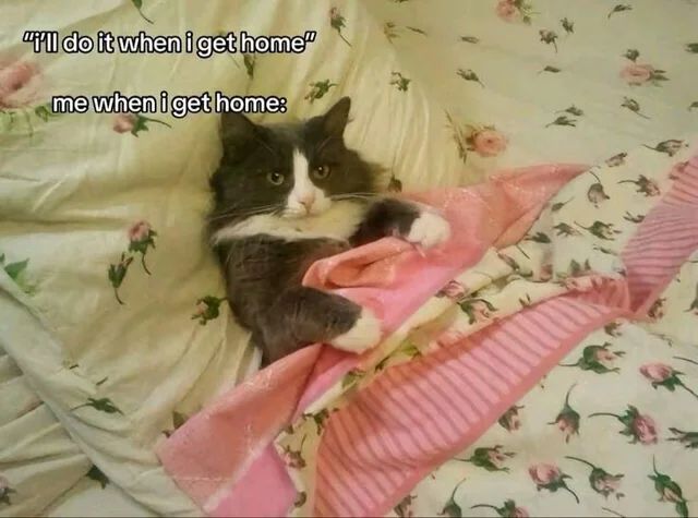 ArtYourCat's tweet image. "Just one more episode... or maybe a nap? 💤🐾 Embrace the procrastination! #CatLife #Procrastination"