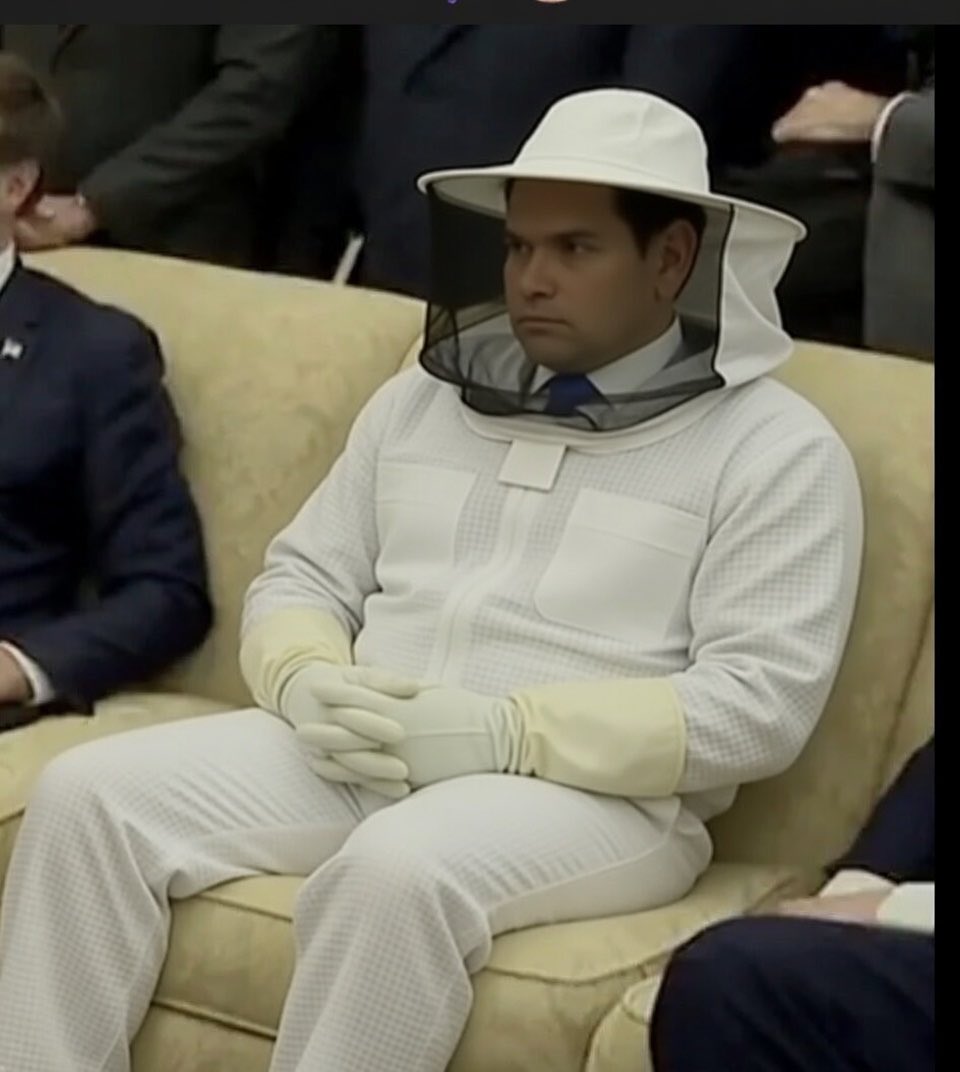 Feral Jundi tweet media