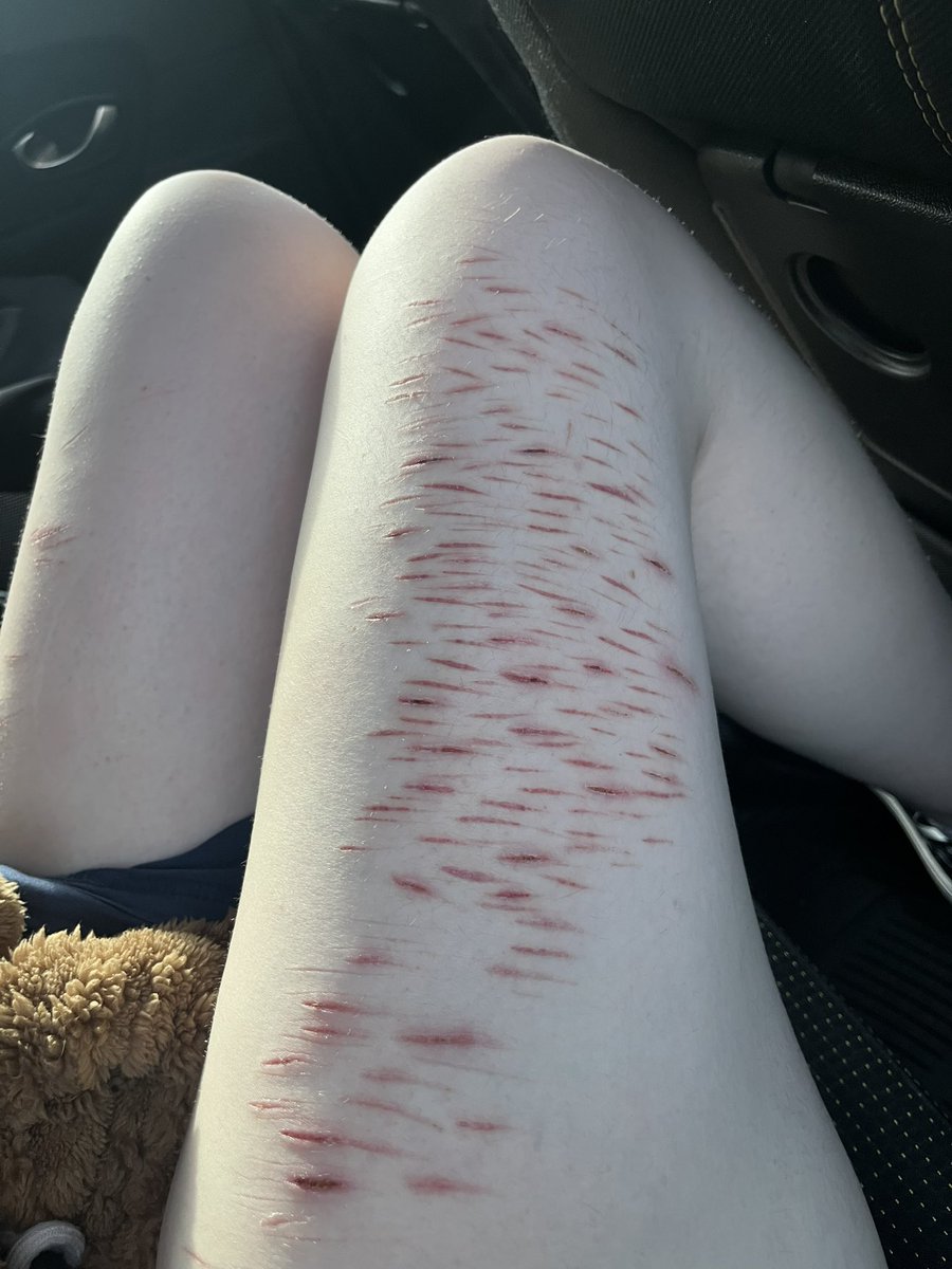 ٠࣪ ݁ᛪ༙ᴍɪꜱᴀᴀ٠࣪⭑.ᐟ tweet media