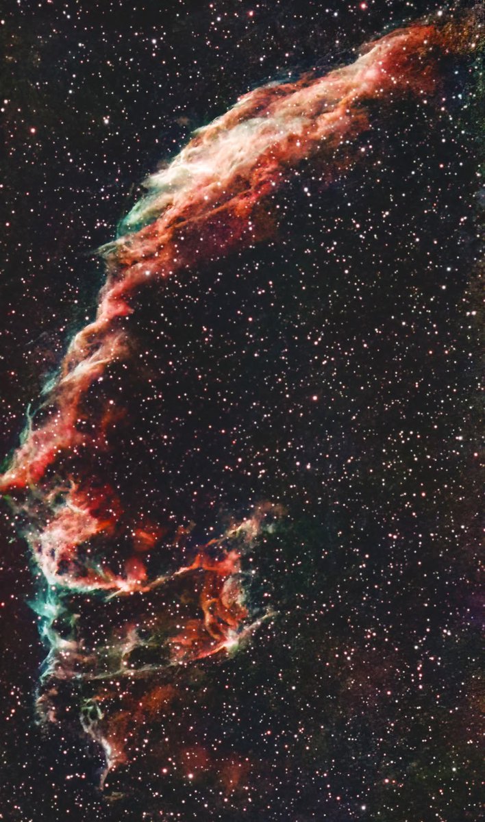 Space Vibe X tweet media