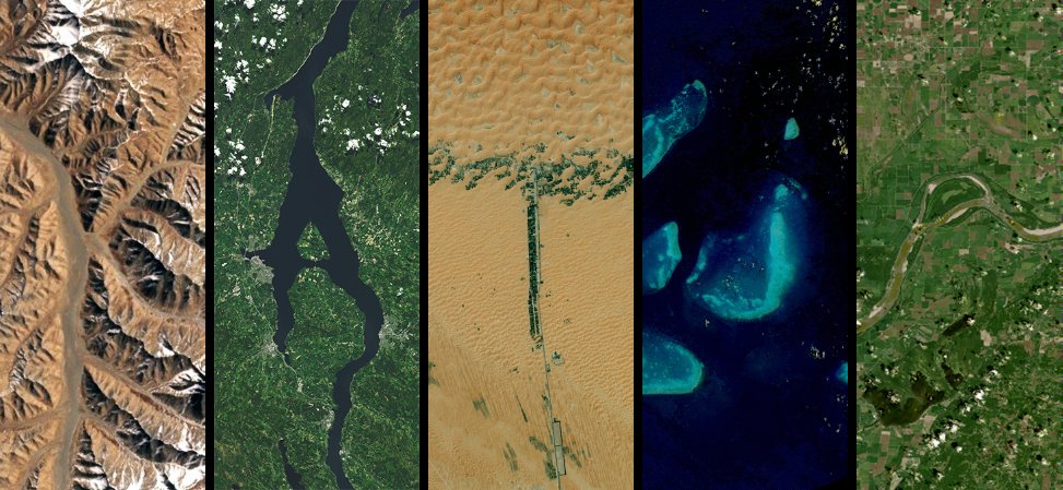 Frau Katinka  Bumsbudenaufsicht, Ihr Arschkrampen tweet media