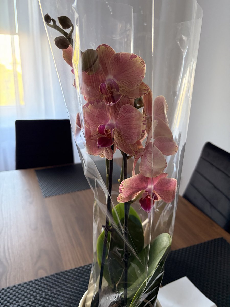 pi 👾💨 tweet media