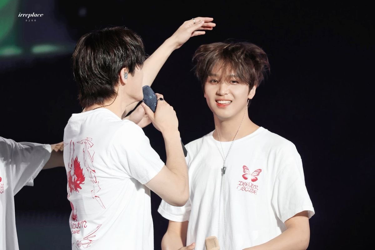 𝓁𝒶𝓃 tweet media