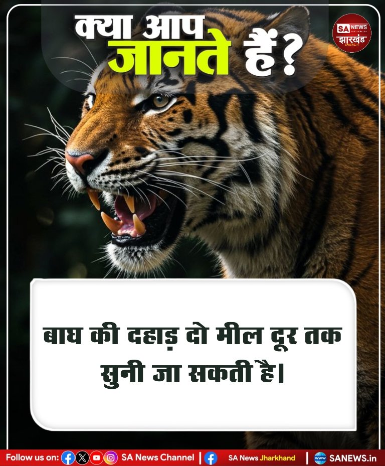 sanewsJharkhand's tweet image. #DidYouKnow #SANewsJharkhand #facts