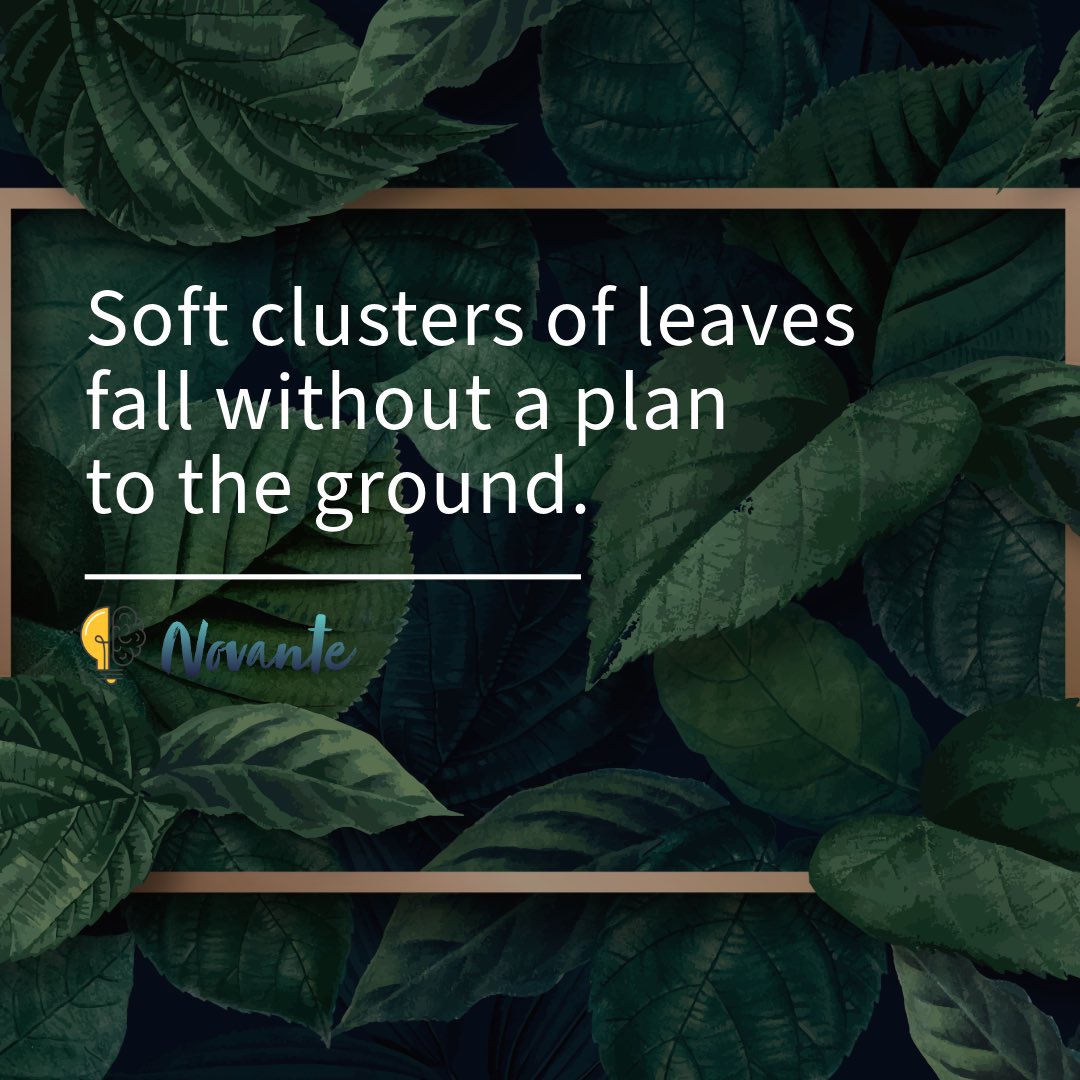 no_vante's tweet image. Going with the flow feels comfortable, but comfort doesn’t always lead to growth.

Without direction, you don’t move forward - you just drift.

Progress always needs intention, even if no plan.

Choose clarity. Choose purpose.🍃

#Novante #IntentionalLiving #Focus #PurposeDriven