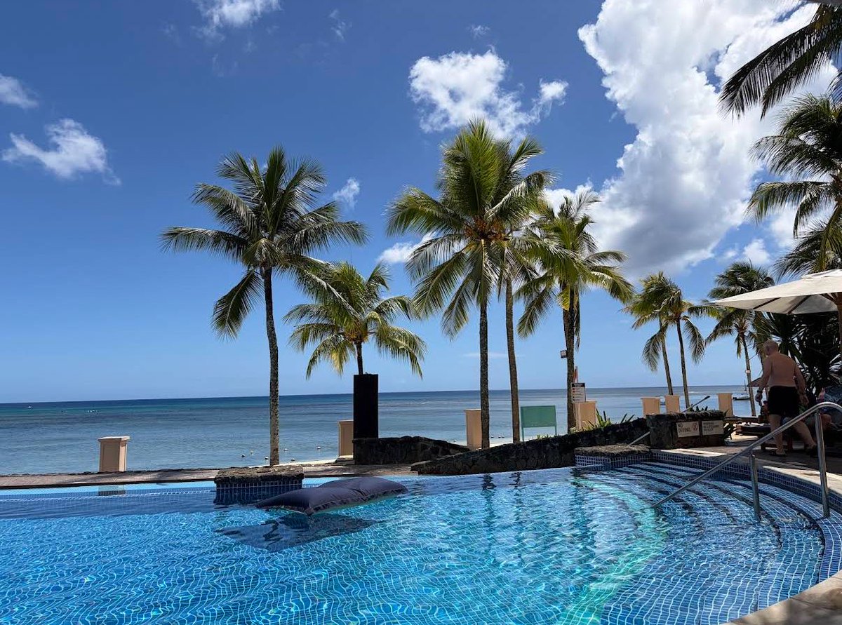 sa_honeymoon's tweet image. لو ميريديان – Le Meridien Mauritius
منتجع يقع على شاطئ طويل ومفتوح، مثالي للاستمتاع بأجواء موريشيوس الهادئة مع أنشطة بحرية وخيارات إقامة مريحة.
احجز معنا واستمتع بأجواء الجزيرة. تواصل معنا الآن
#موريشيوس #سفر_عائلي
#ResortLife #SummerHoliday #شهر_العسل