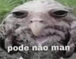 Guilherme 🔺 tweet media