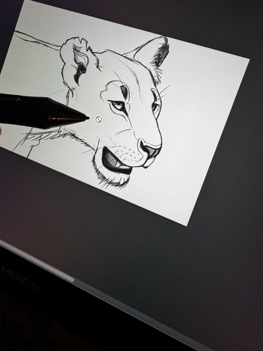 sofihra's tweet photo. Lion rough sketches from today’s Twitch stream 🦁
Taking it slowly!
#lionstudy #creatureart #digitalart https://t.co/tv7RpnYNN2