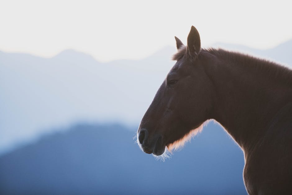 Sarah James tweet media