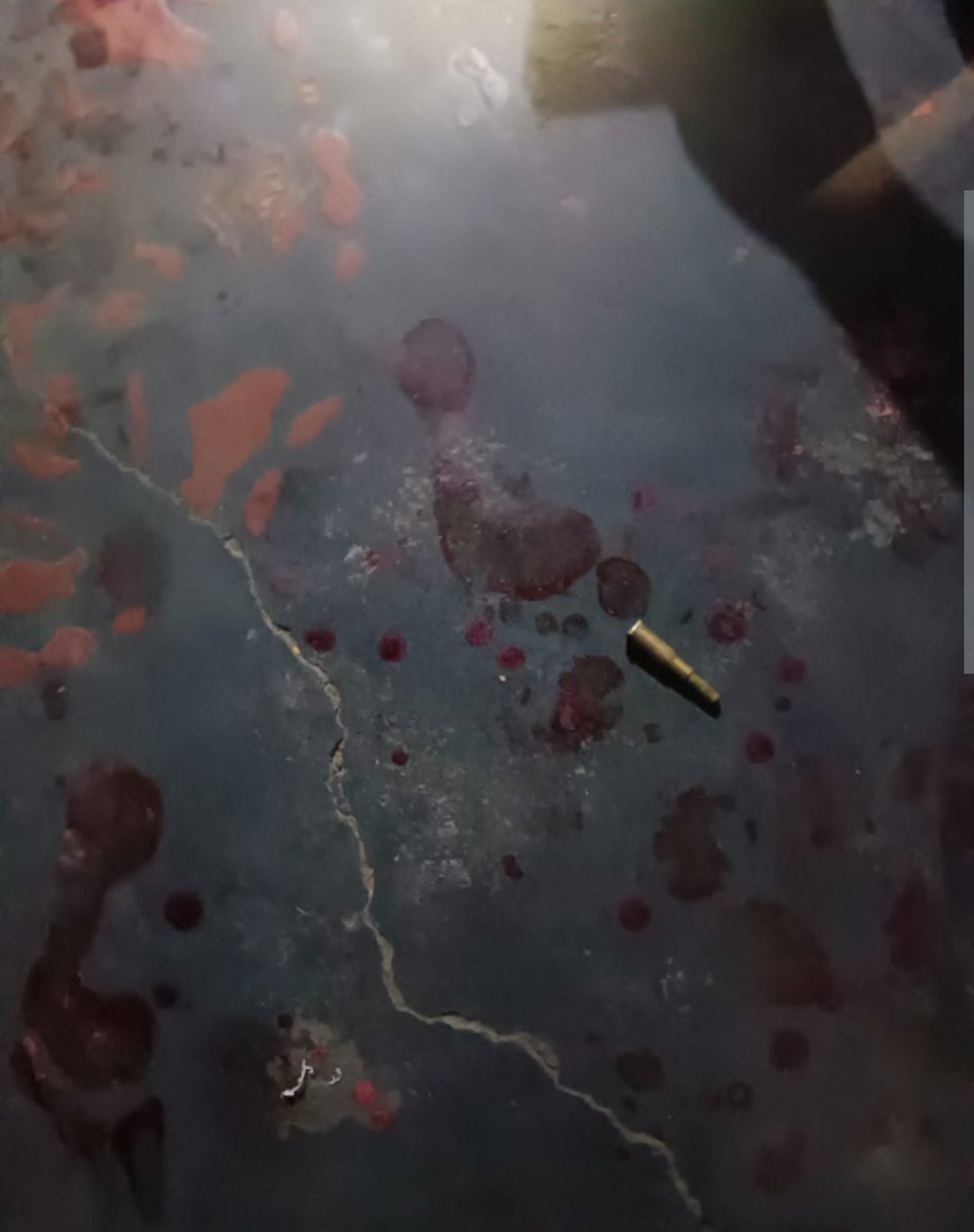 UP Times tweet media