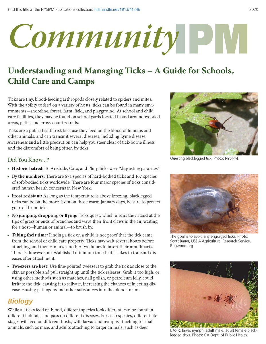 Middle Country CSD tweet media