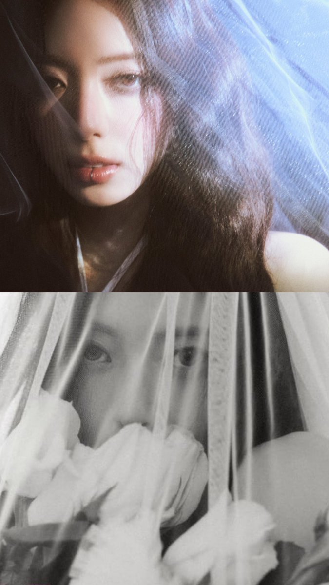 🍦🪼 🍭 tweet media