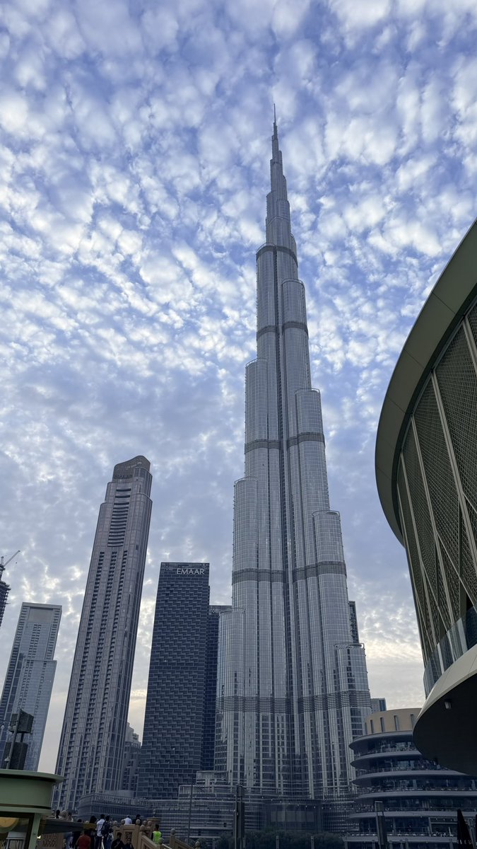 Andres Meneses tweet media