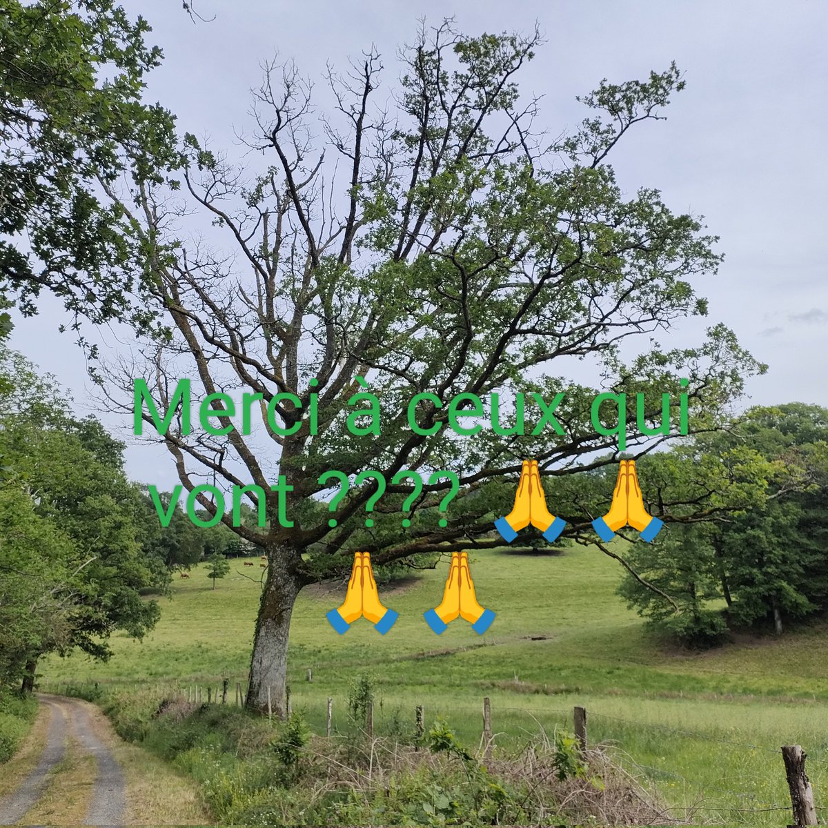 En couple 😍 pour votre plaisir et le notre. tweet media