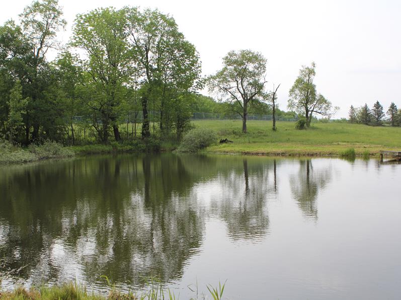 EquestrianPA's tweet image. Who needs a faraway vacation? Stay close &amp;amp; play big. #Vacationrentals with pool, tennis/pickleball, basketball courts, catch-and-release pond.  🏊🎾🏀 🎣 
An hour from Scranton! 2.5 hours from NYC &amp;amp; Philadelphia. 
Book your stay now!  zurl.co/T0zIS 
#StaycationDream