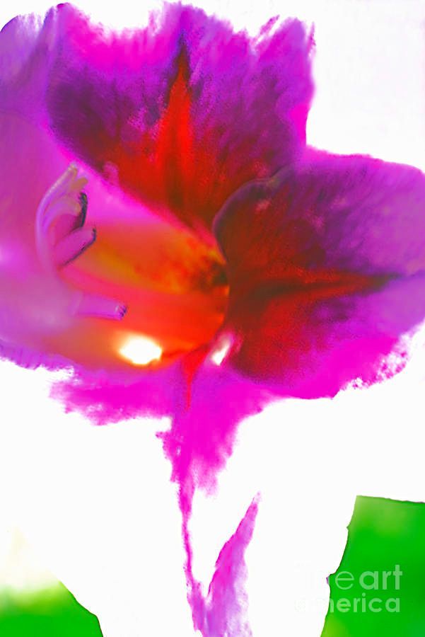 photographervin's tweet image. Floral 
fineartamerica.com/featured/flora…
#abstract #beautiful #art #flowers #love #peace #floral #garden #botanical #AlexanderVinogradovphotography #giftideas #BuyIntoArt #ayearforart #wallart #homedecor #interiordesign #artforsale #artprints #photography #fineartphotography