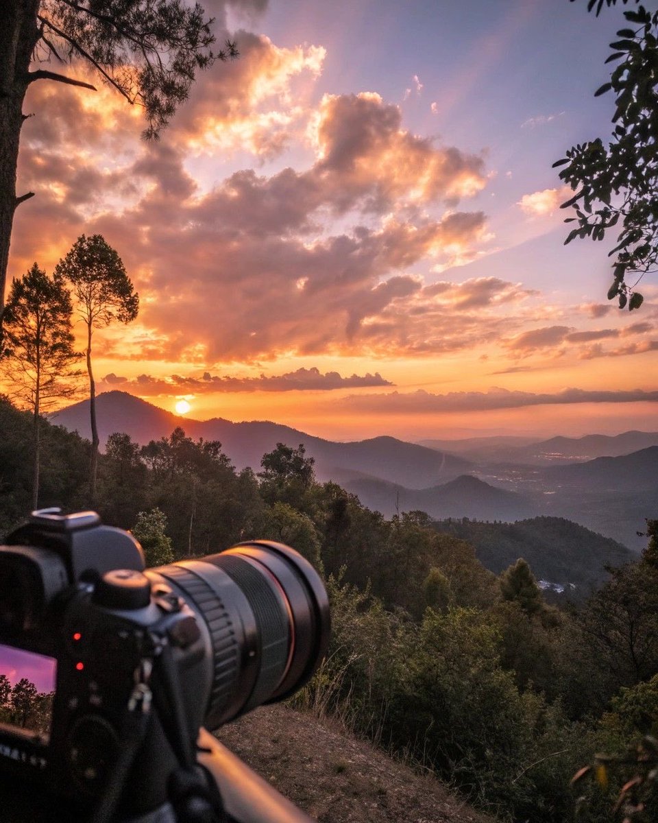 𝙽𝚘𝚡⁷ ✧ tweet media