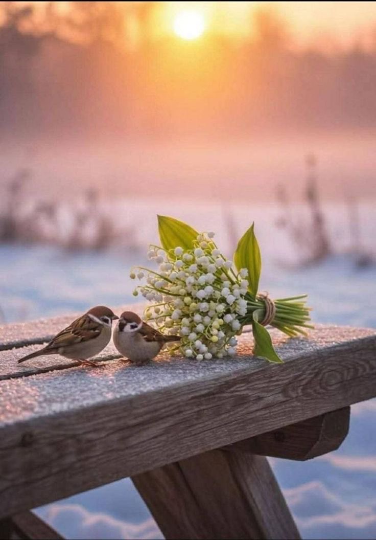 ملكة العفاف tweet media