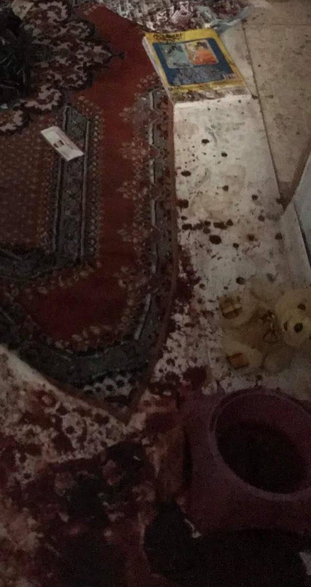 CEYDA YÜKSEL #ceydayükseliçinadalet tweet media