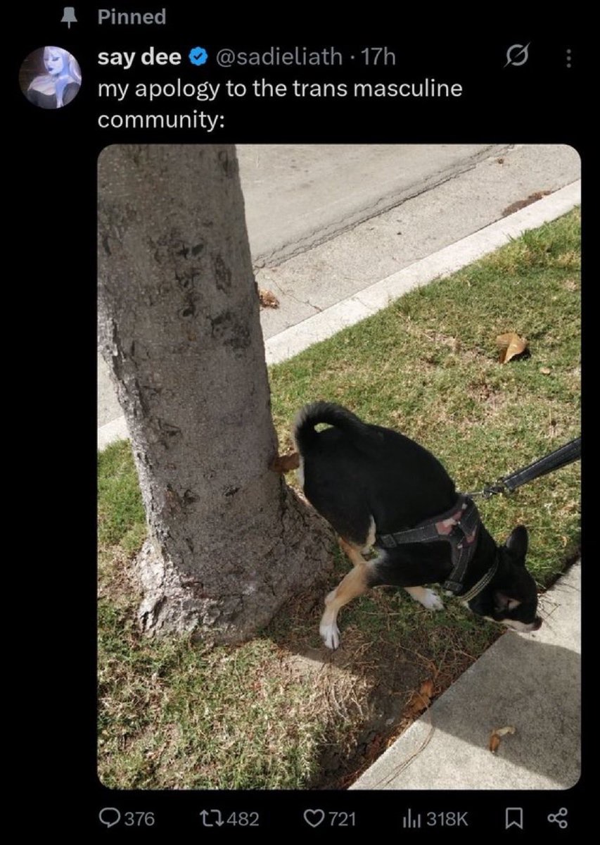 ▴ limk ▴ tweet media