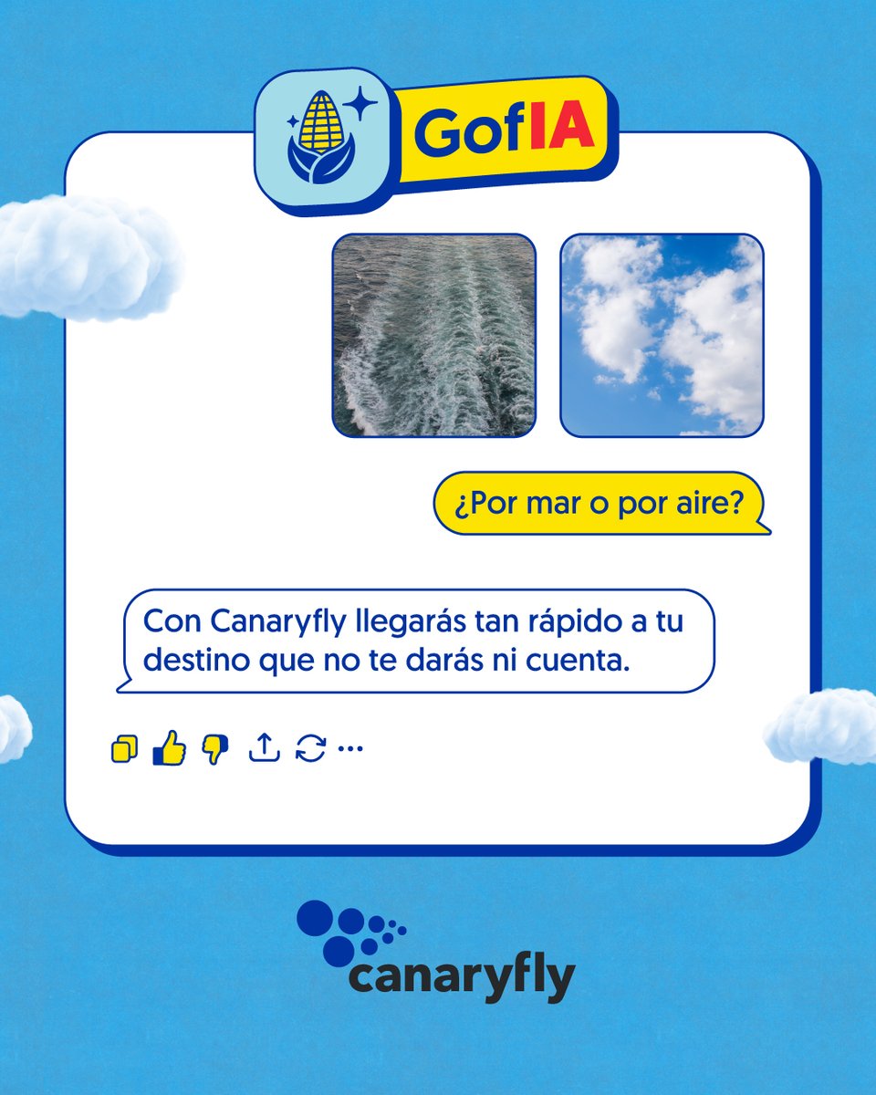Canaryfly tweet media